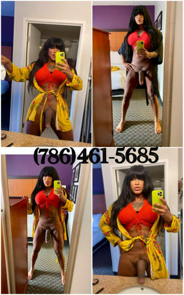 Escorts Miami, Florida THE GODDESS XXXL