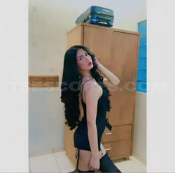 Escorts Jakarta, Indonesia Shemale Rachel