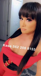 Escorts Seattle, Washington TSKASSMICHELLE