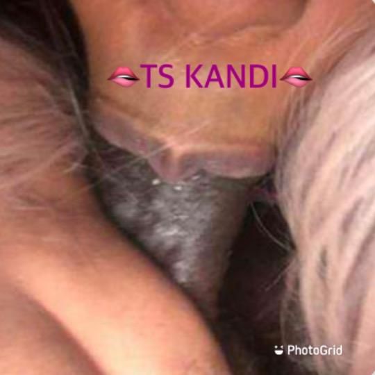 Escorts Charlotte, North Carolina 👅Kandi👅