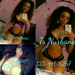 Escorts Los Angeles, California NurbanuTs