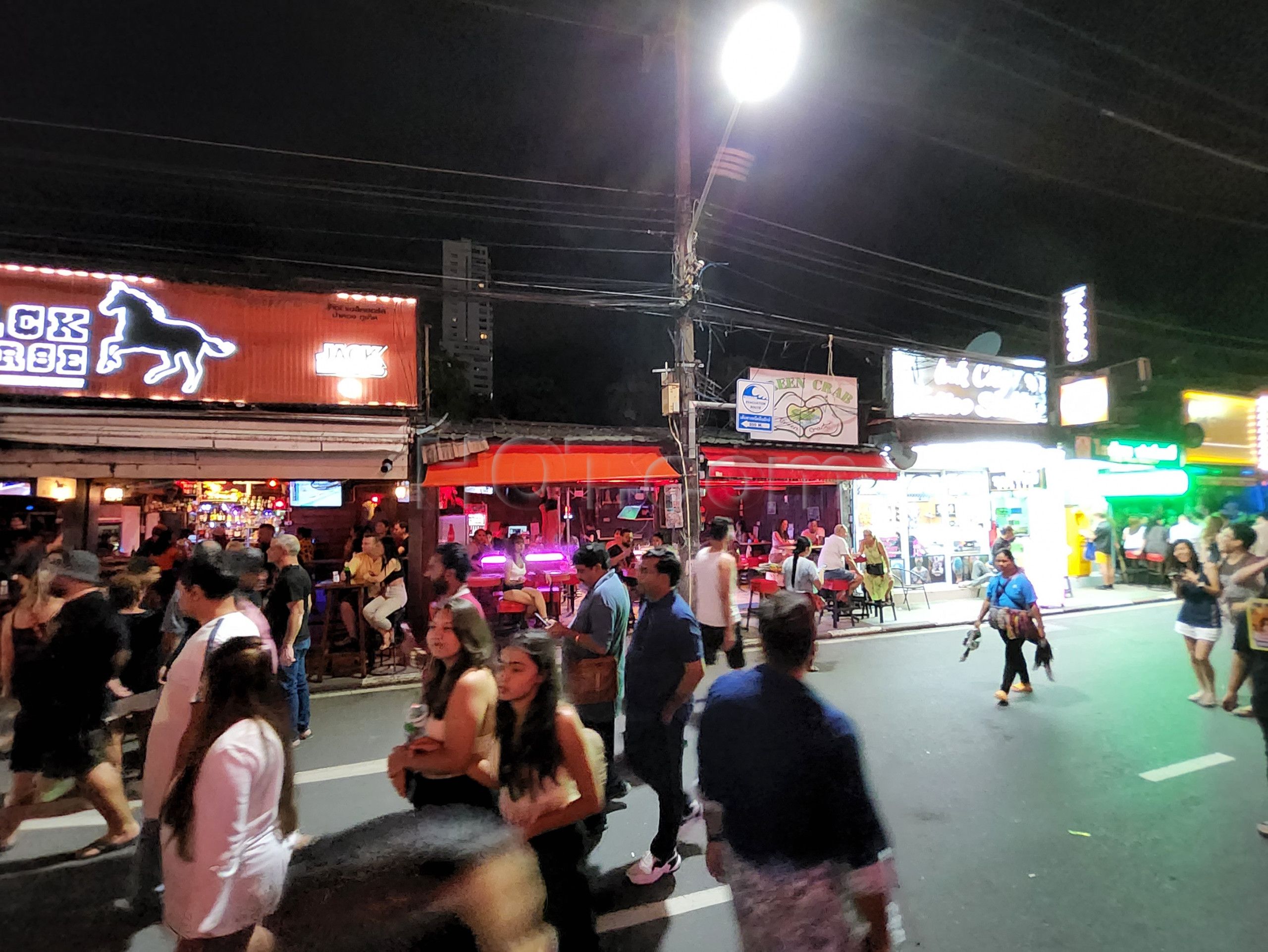 Patong, Thailand Green Crab Green Crack