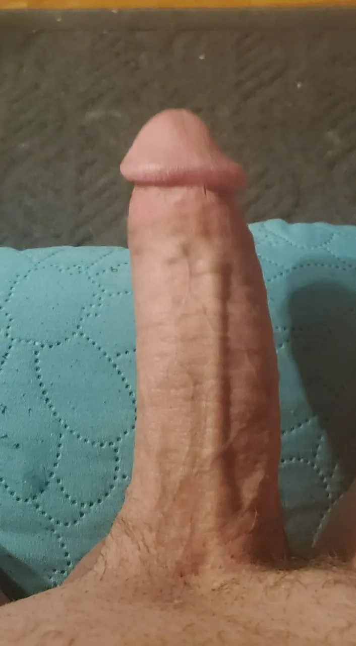 Escorts Manhattan, New York 🍆 HOT WARM COCK 🍆