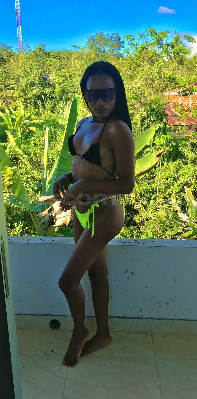 Escorts Medellin, Colombia Violetha