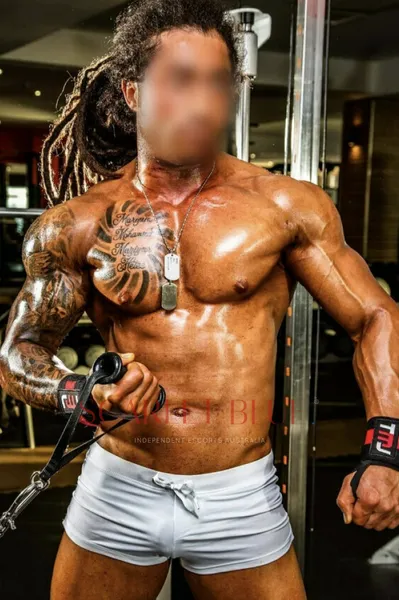 Escorts Melbourne, Australia Dr Sasha - male Escort 


