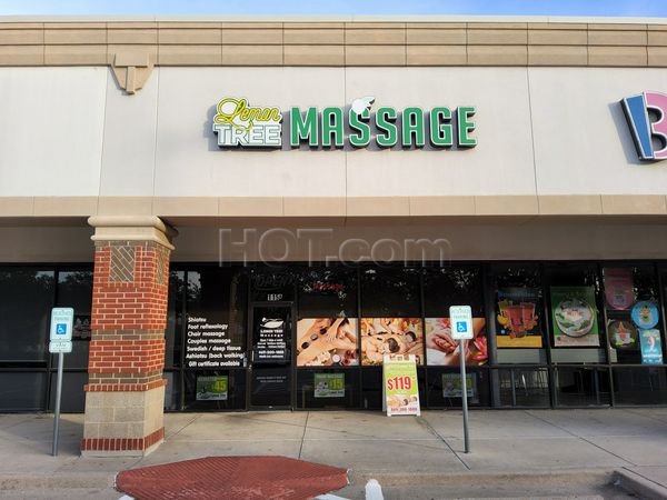 Massage Parlors Frisco, Texas Lemon Tree Massage