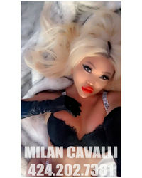 Milan Cavalli