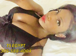 Escorts Fort Lauderdale, Florida Ts Egypt XL