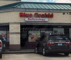 Massage Parlors Lake Jackson, Texas Blue Orchid Reflexology