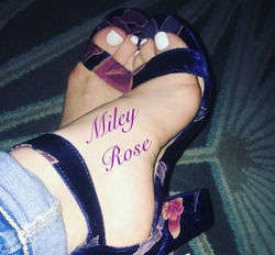 Escorts Orlando, Florida MileyRose