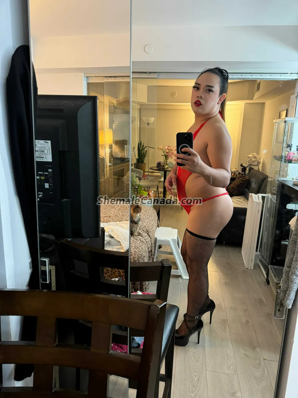 Escorts Toronto, Ontario Ashley69