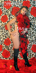 Escorts Charlotte, North Carolina TERRYNICOLE