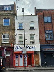 London, England Blue Rose