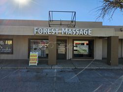 Midland, Texas Forest Massage