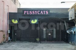 Cebu City, Philippines Pussy Cats