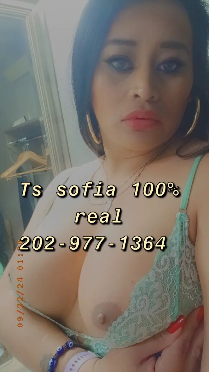 Escorts Manassas, Virginia Sofia manassas66/234