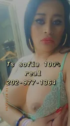 Escorts Manassas, Virginia Sofia manassas66/234