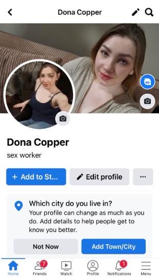 Escorts Lansing, Michigan Dona Copper