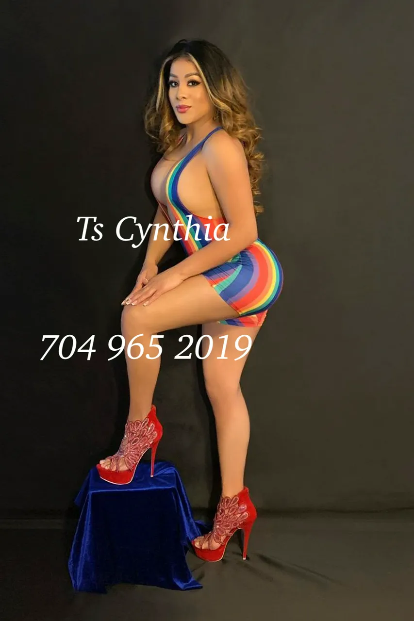 Escorts Charlotte, North Carolina Ts Cynthia