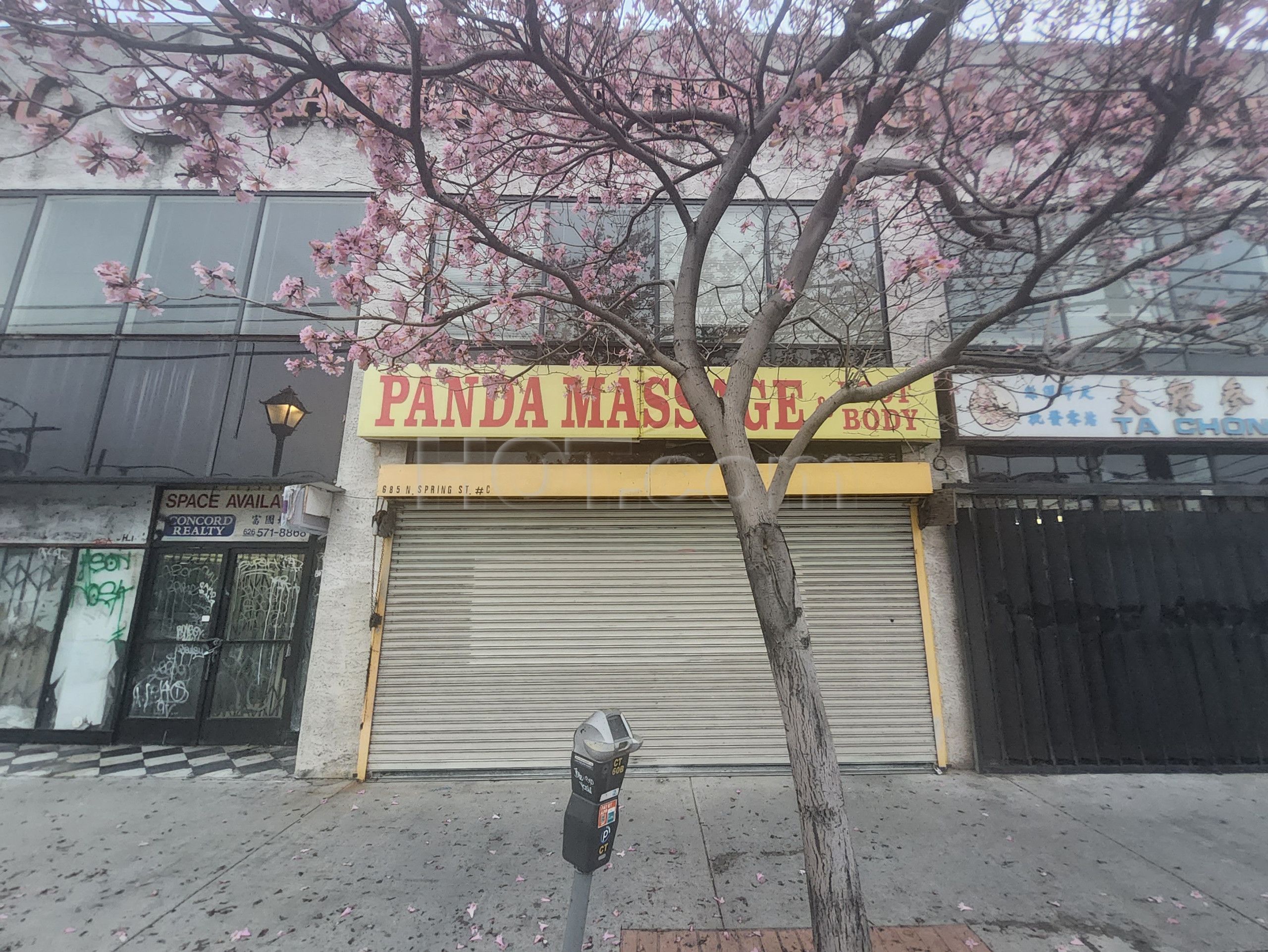 Los Angeles, California Panda Massage