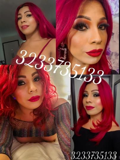 Escorts Ventura, California transexual perla visiting Camarillo