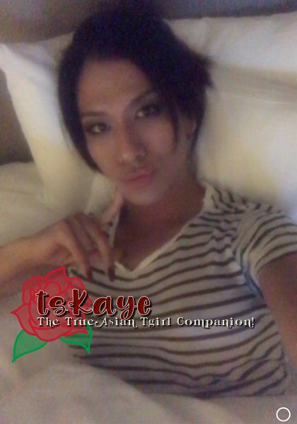 Escorts Austin, Texas TS_Kaye