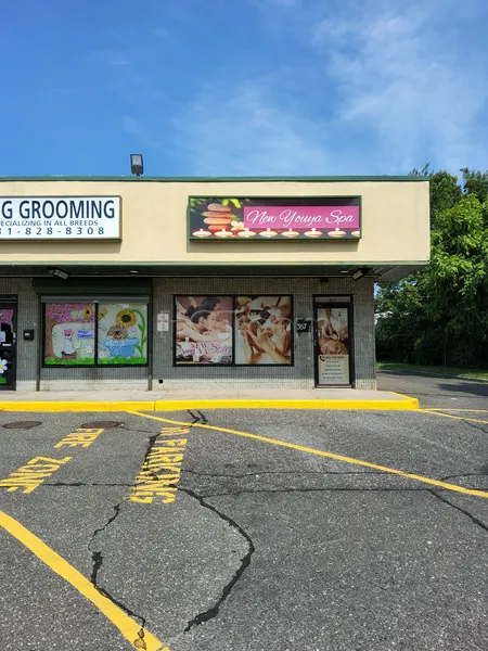 Massage Parlors New You Ya Spa