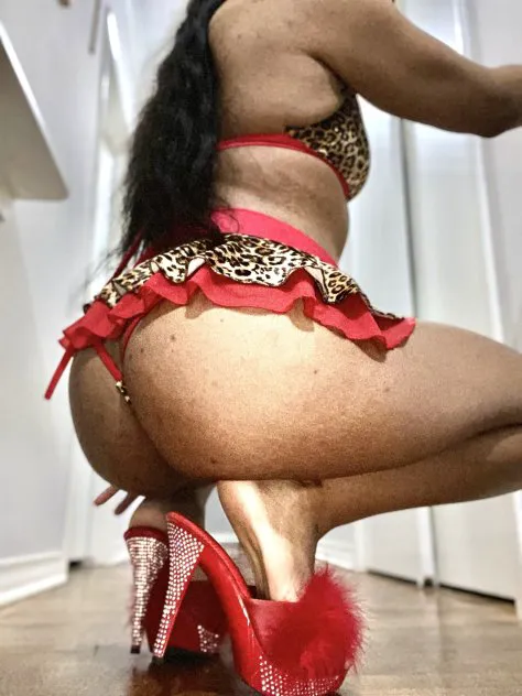 Escorts Dallas, Texas Destinee