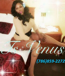 Escorts Miami, Florida VENUSTHEGODDESS